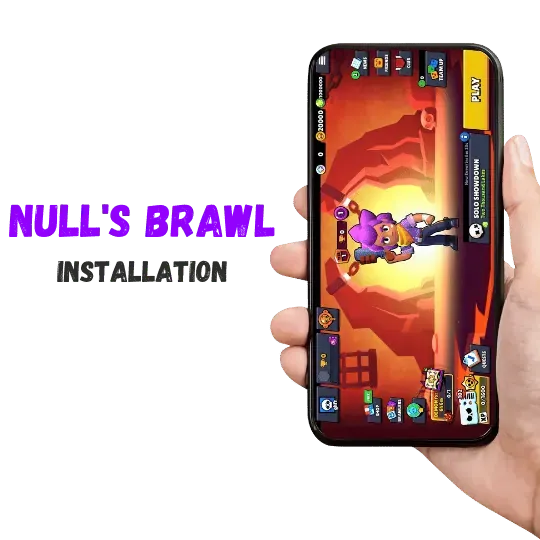 null-brwl-installation
